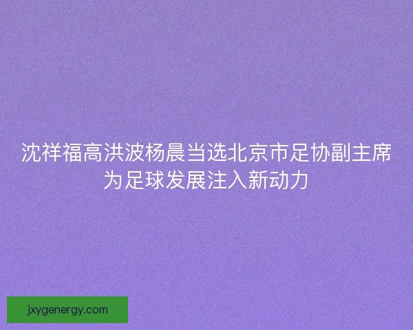沈祥福高洪波杨晨当选北京市足协副主席为足球发展注入新动力